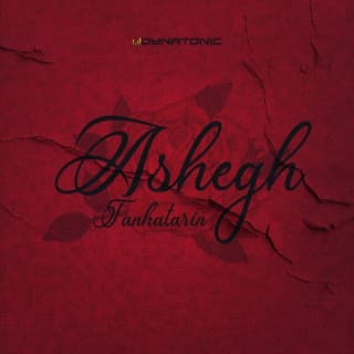 تنها ترین عاشق ریمیکس