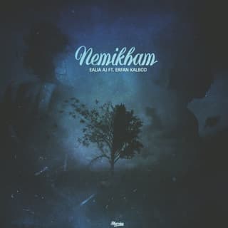 Nemikham (Ft Erfan Kalbod)