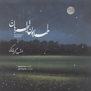 امشب اگر یاری کنی