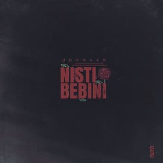 نیستی ببینی