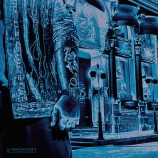 فلیپ لین فری استایل