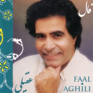 پرواز دوباره