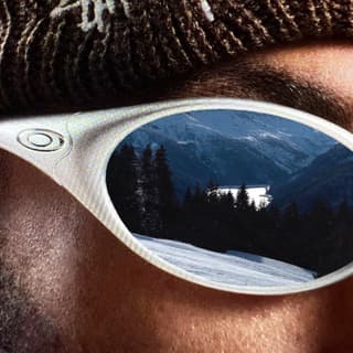 ویسلر هیپهاپولوژیست