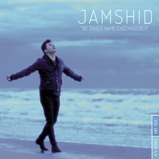 به ظاهر همه چی خوبه