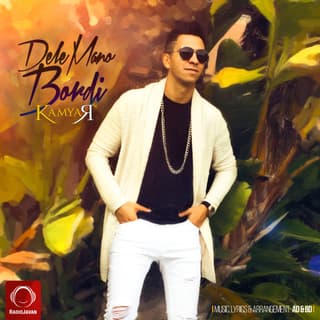 دل منو بردی