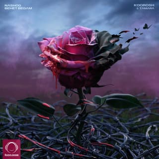 نشد بهت بگم