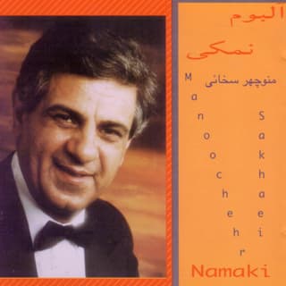 پاشنه صناری