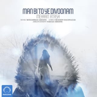 من بی تو یه دیوونم