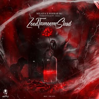 زود تموم شد