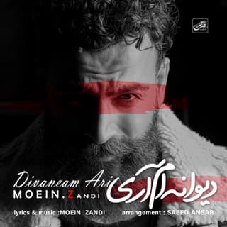 دیوانه ام آری