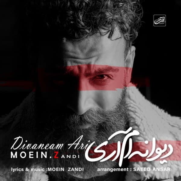 دیوانه ام آری