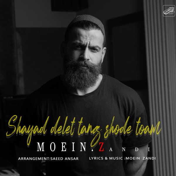 شاید دلت تنگ شد توام