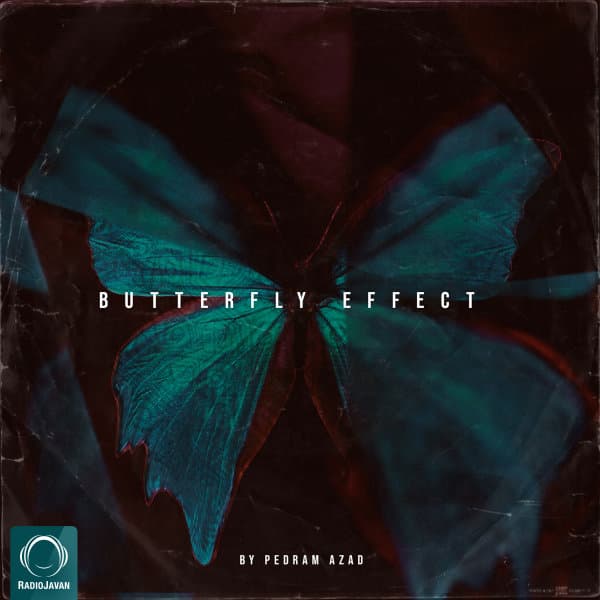 رفیق همیشگی آکوستیک