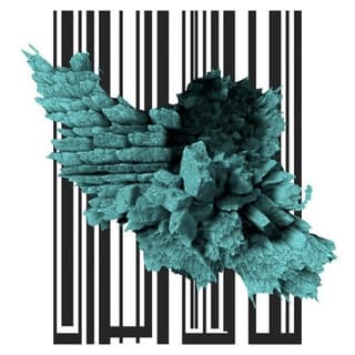 Jib (Ft Safir & Bidad)