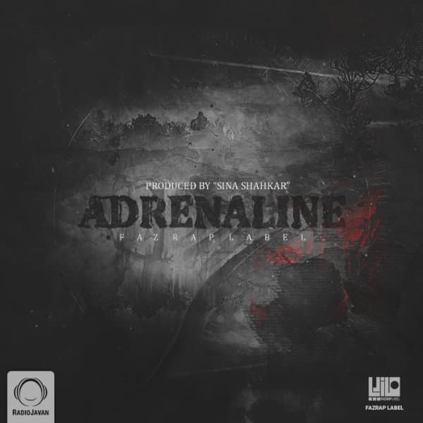 سرگذشت مجید ادیب