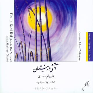 آتشی در نیستان