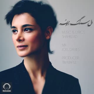 دل سنگ زمونه