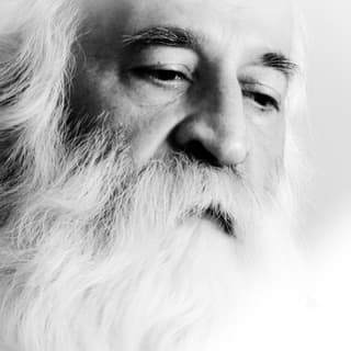 در سوگ استاد لطفی