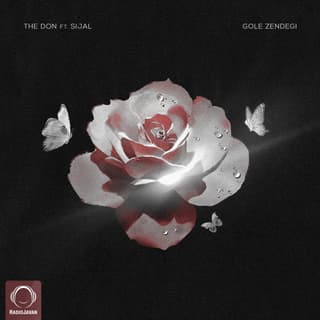 گل زندگی سیجل