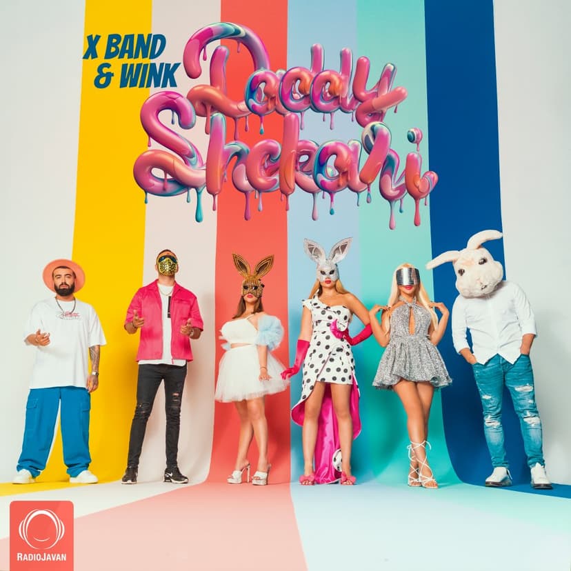 ددی شکری وینک