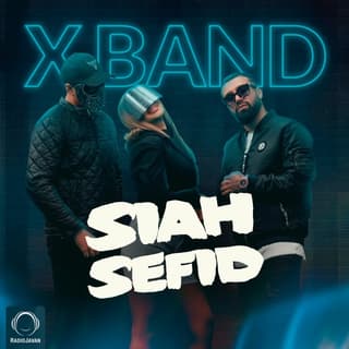 سیاه سفید وینک