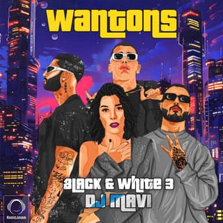 Black & White 3 (Wantons Special)